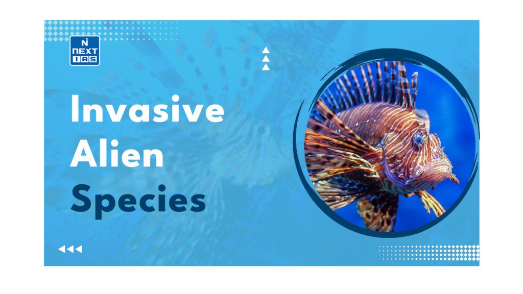 Invasive Alien Species