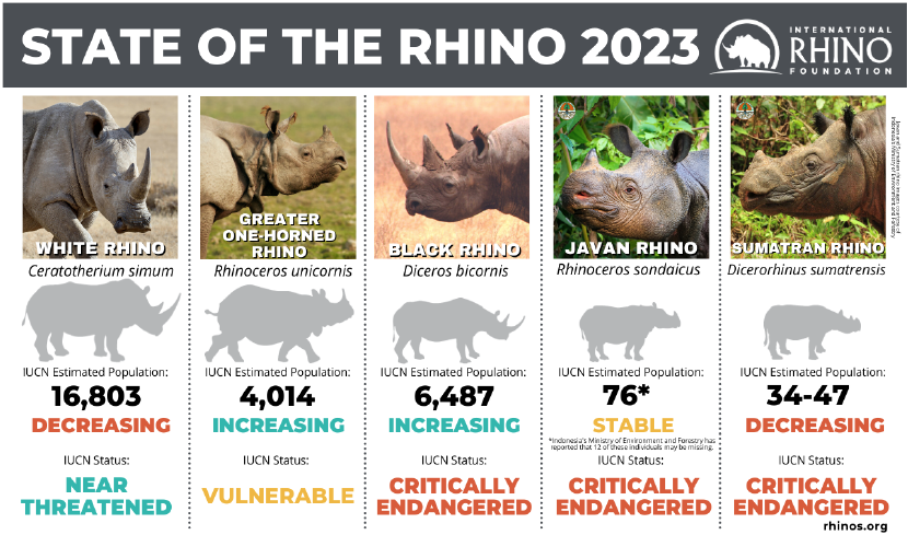 indian one horn rhino vision-2020