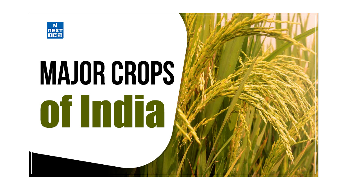 major crops in india