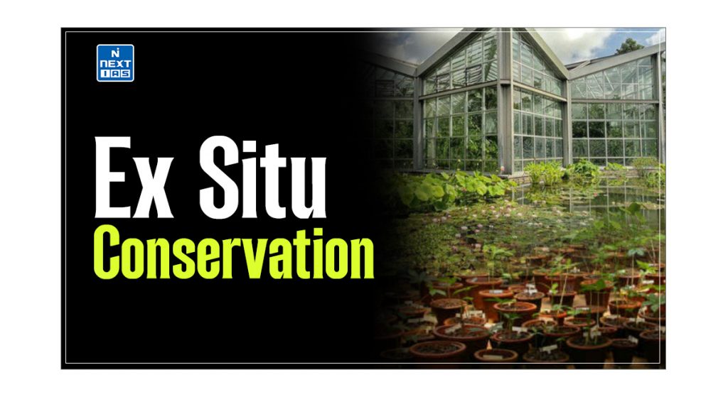 ex situ conservation