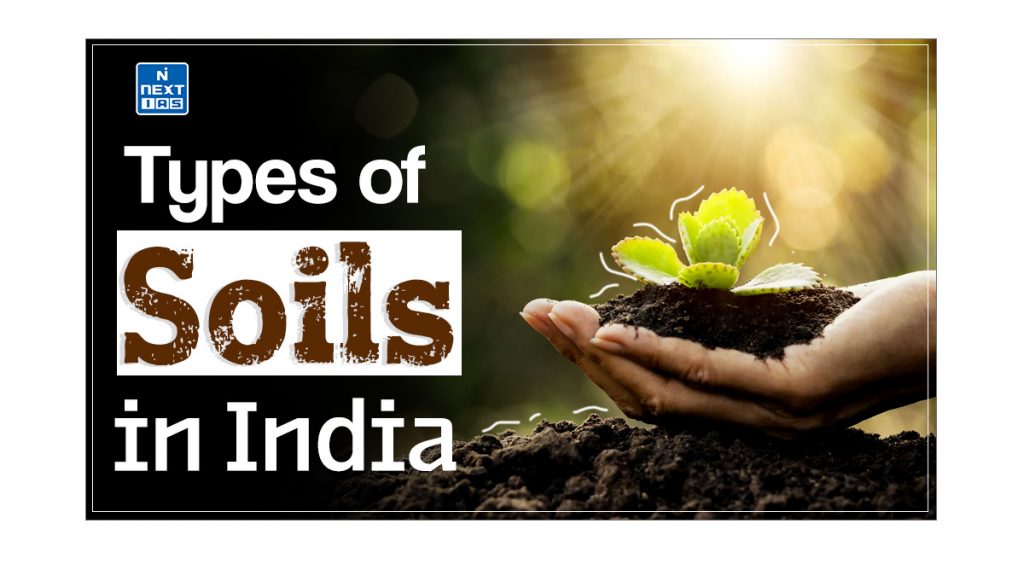 types of soils in india