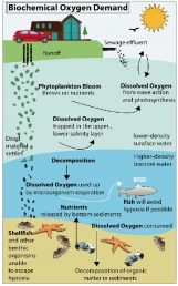 Cod Fish Environmental Marine Pollution: Causes, Effects, Control Measures & More