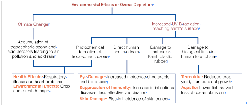 effects of ozone layer depletion