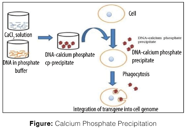 chemical mediated transfer