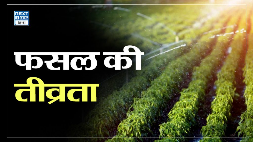 फसल की तीव्रता