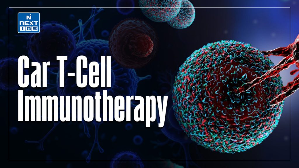 Car T-Cell Immunotherapy