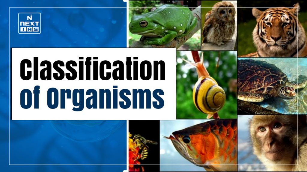 Classification of Organisms