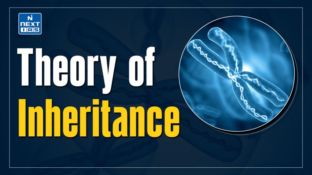 Theory of Inheritance