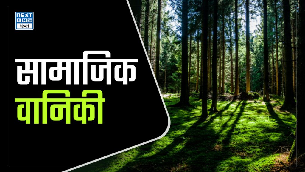 सामाजिक वानिकी