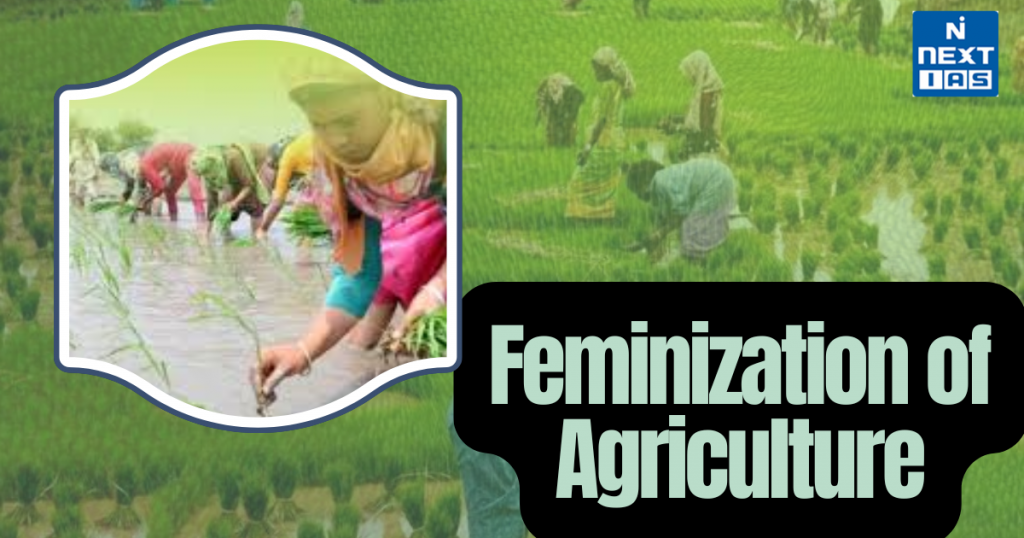 feminization of agriculture