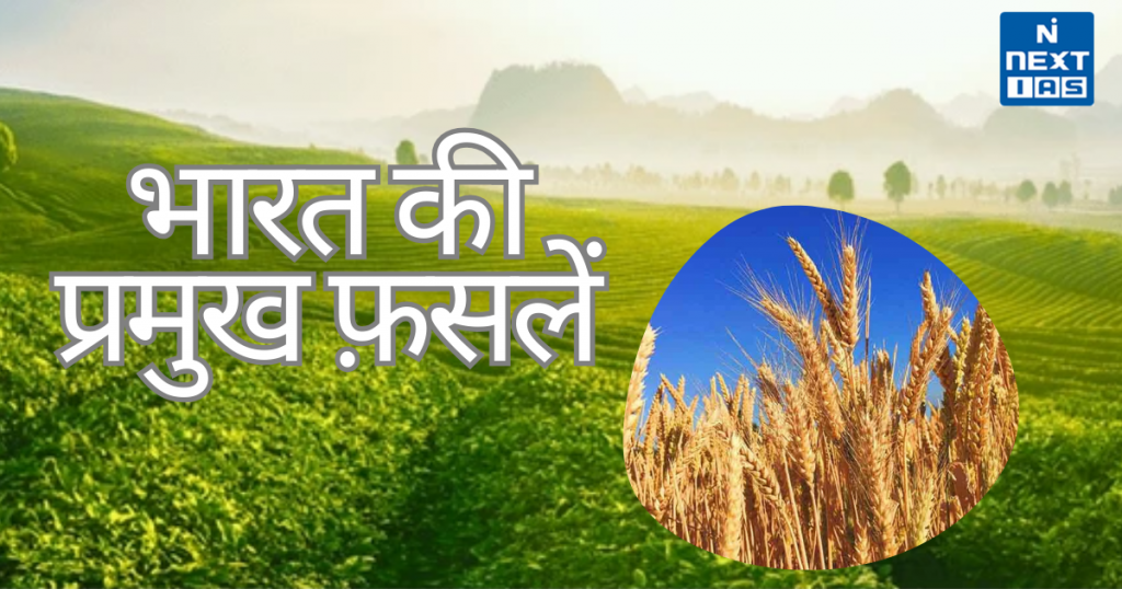 भारत की प्रमुख फ़सलें
