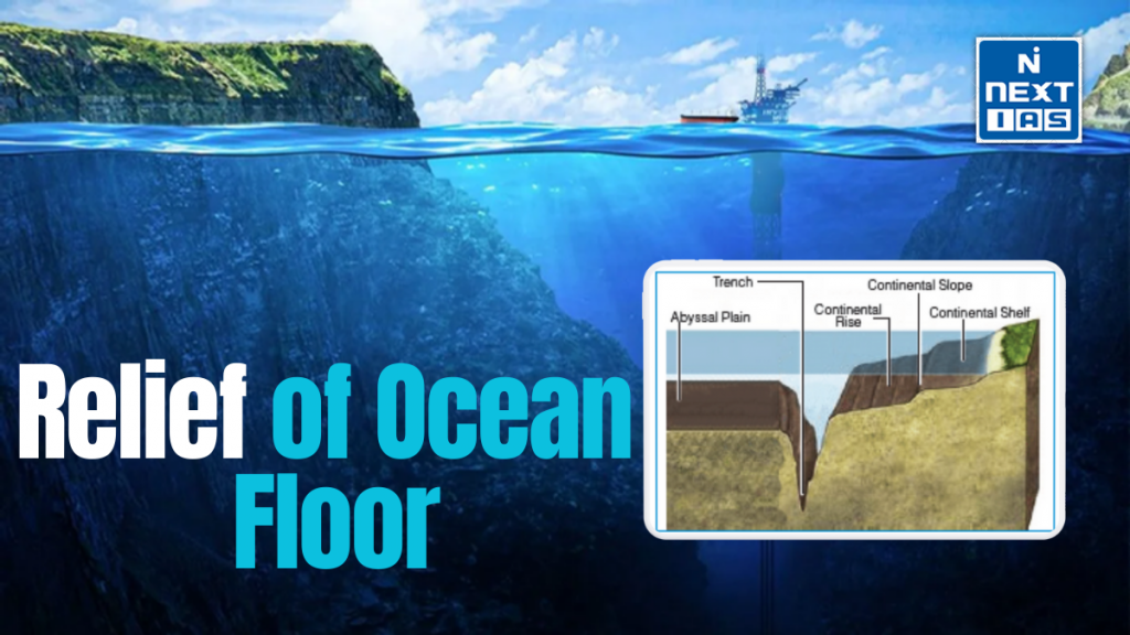 relief of the ocean floor