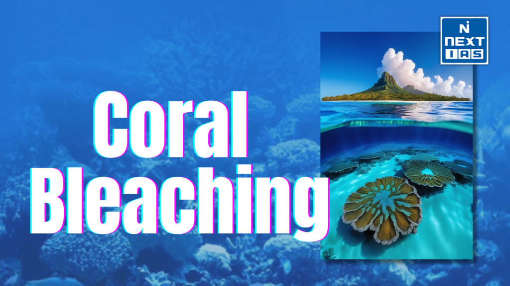 coral bleaching