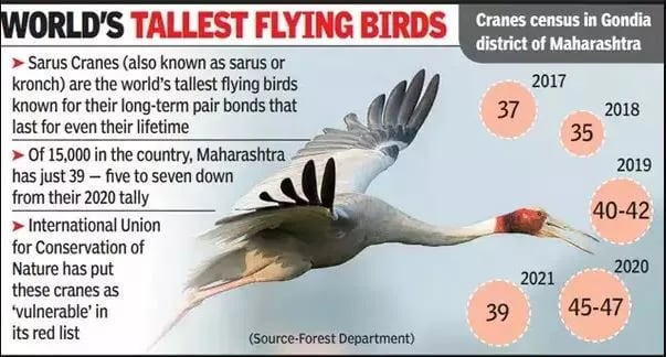 world-tallest-flying-birds