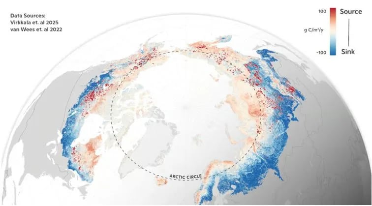 आर्कटिक बोरियल ज़ोन