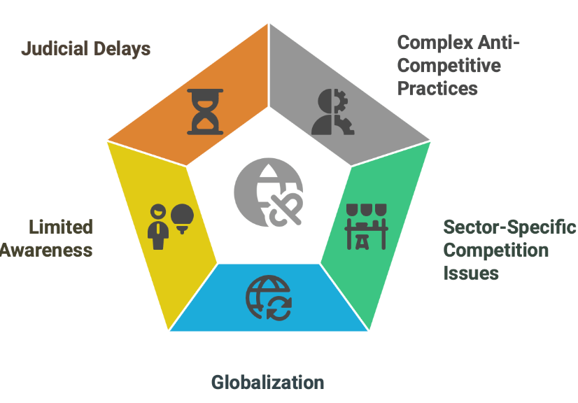 CCI के समक्ष चुनौतियाँ