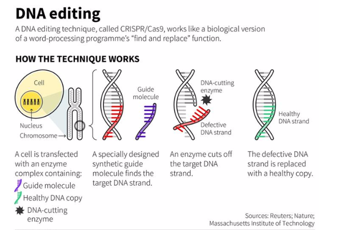 dna editing