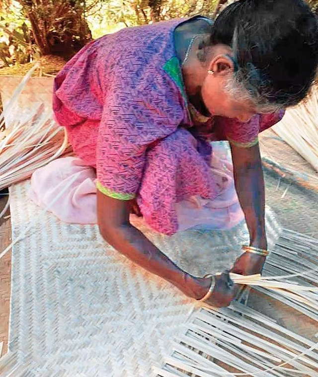 GI Tag for Kannadippaya