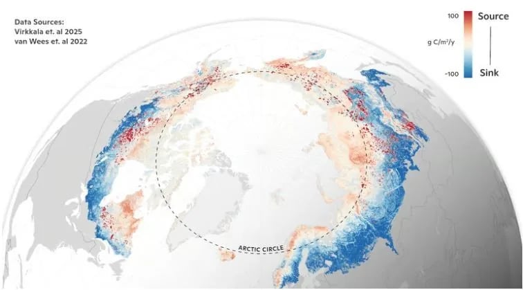 The Arctic Boreal Zone