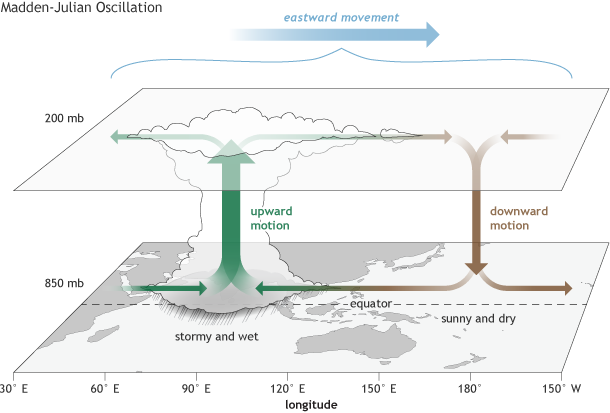 Madden Julian Oscillation