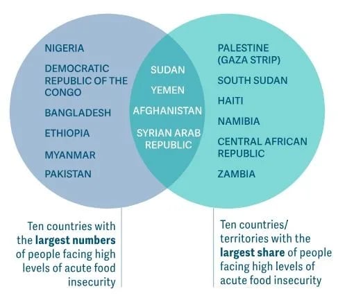 Nearly 300 million people faced acute hunger in 2024