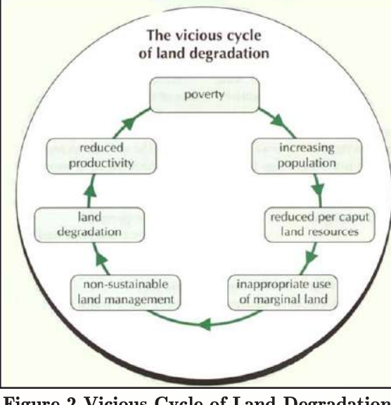 land degradation