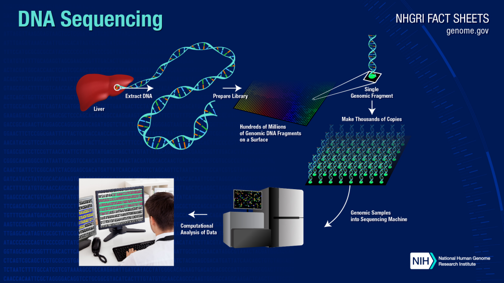 genome sequencing