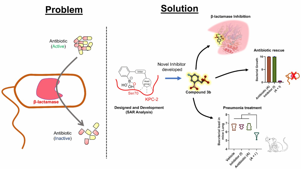 Fight Against Antibiotic Resistance