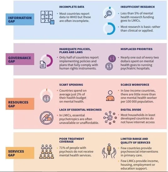 Key Gaps in Mental Health Transformation