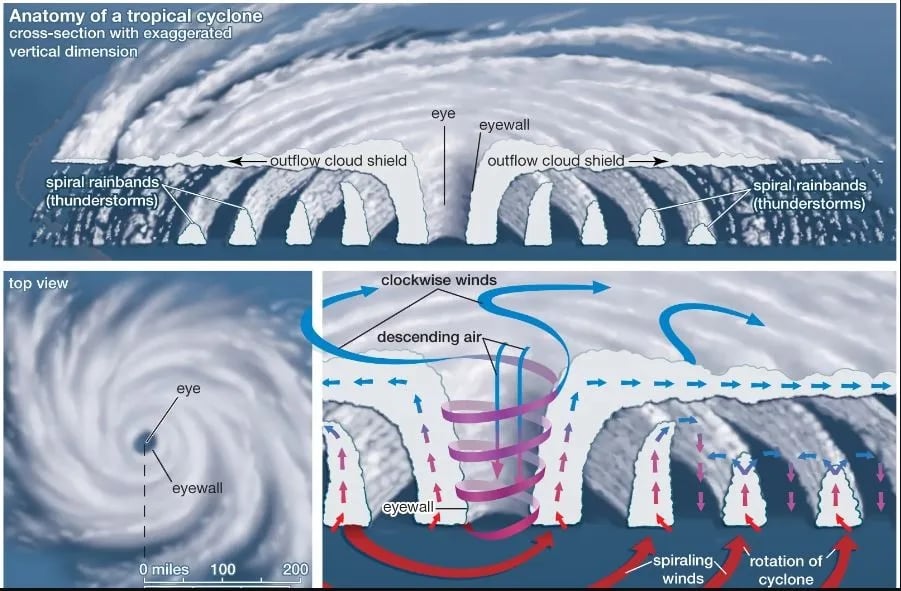 Anatomy-of-tropical-cyclone
