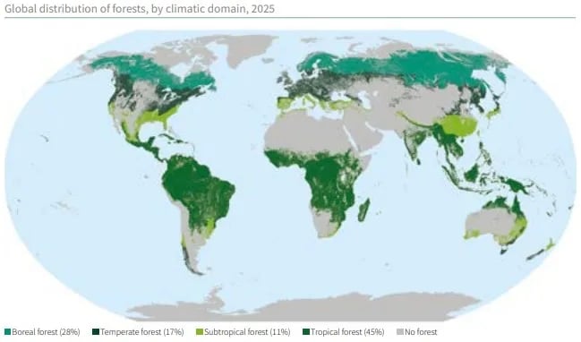 India Moves up to 9th Position Globally in Forest Area