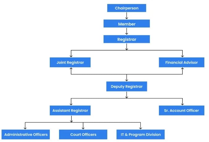 national company law appellate tribunal
