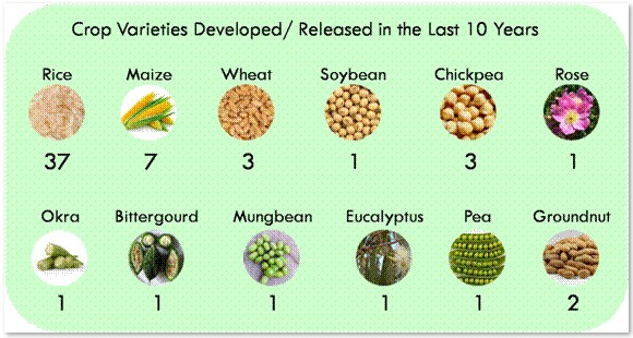 use biotechnology in agriculture 
