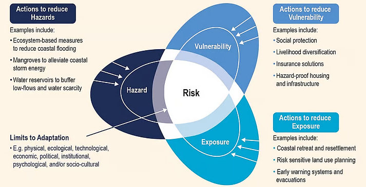 understanding the 16th fc’s approach