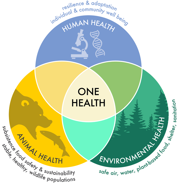 one health approach