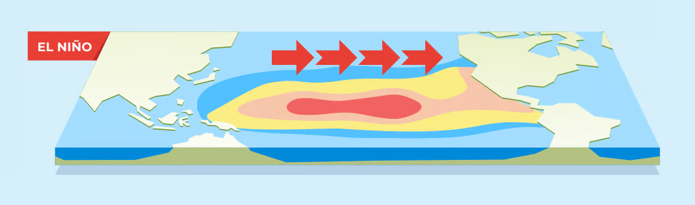 El niño (warm phase)