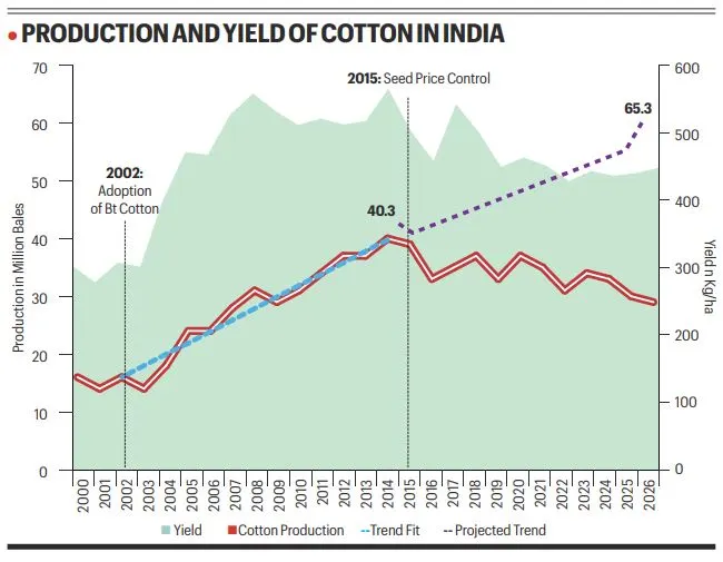 Bt cotton