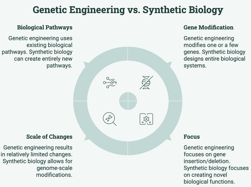 synthetic biology