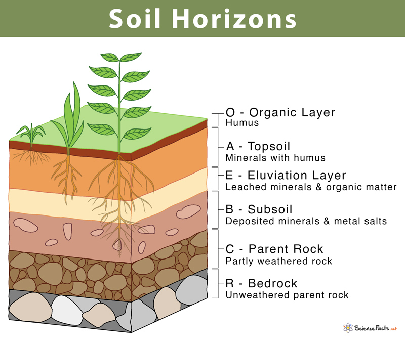 soil