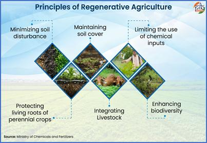 regenerative agriculture