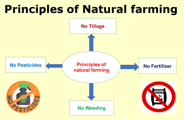 principles of natural farming