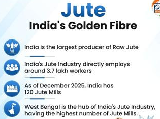 jute