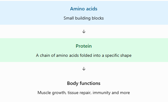 protein bioavailability
